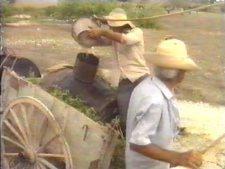 CAMPO - (14)  LABRANZA